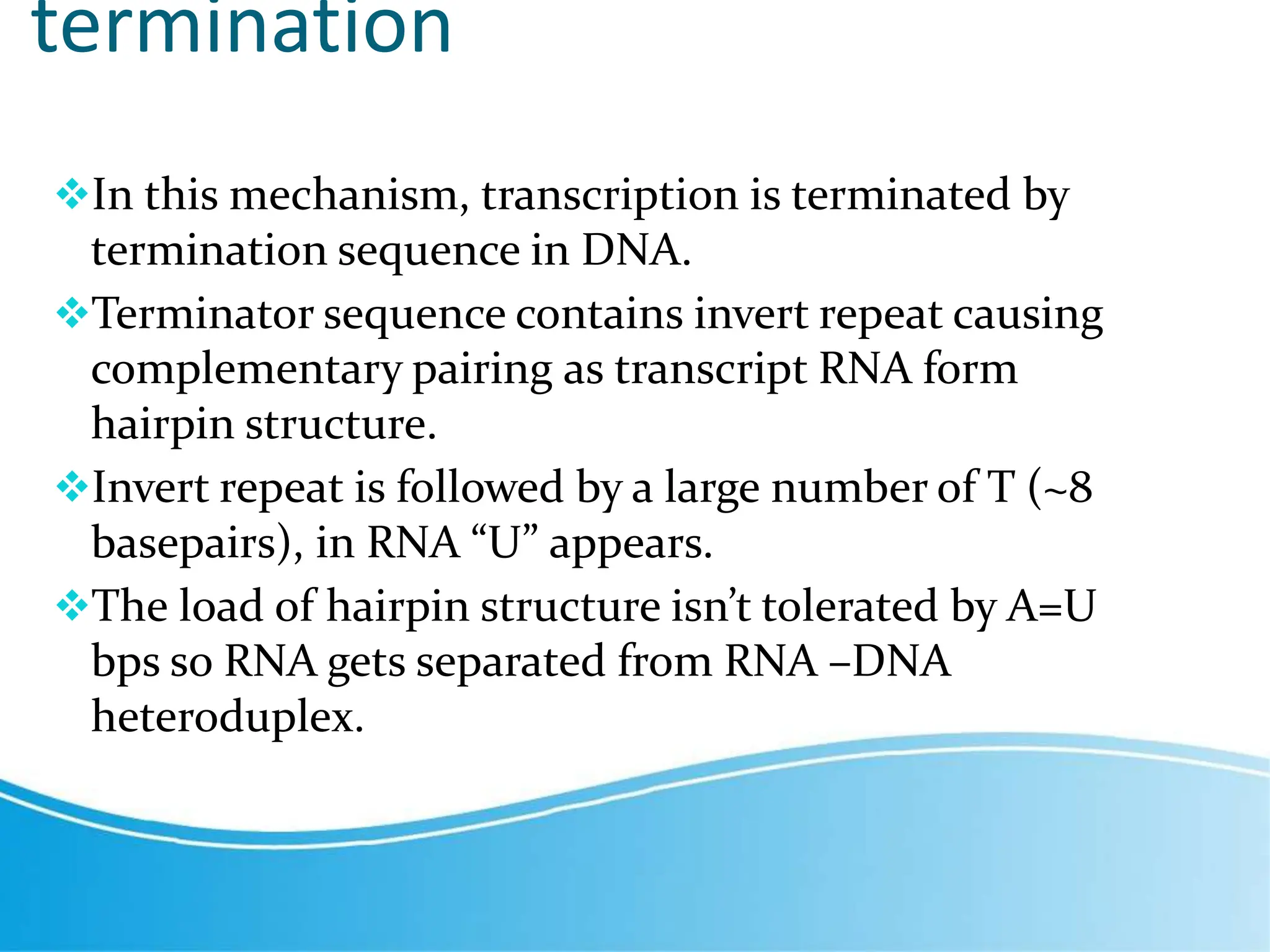 Transcripti on.pptx | Programming Languages | Computing