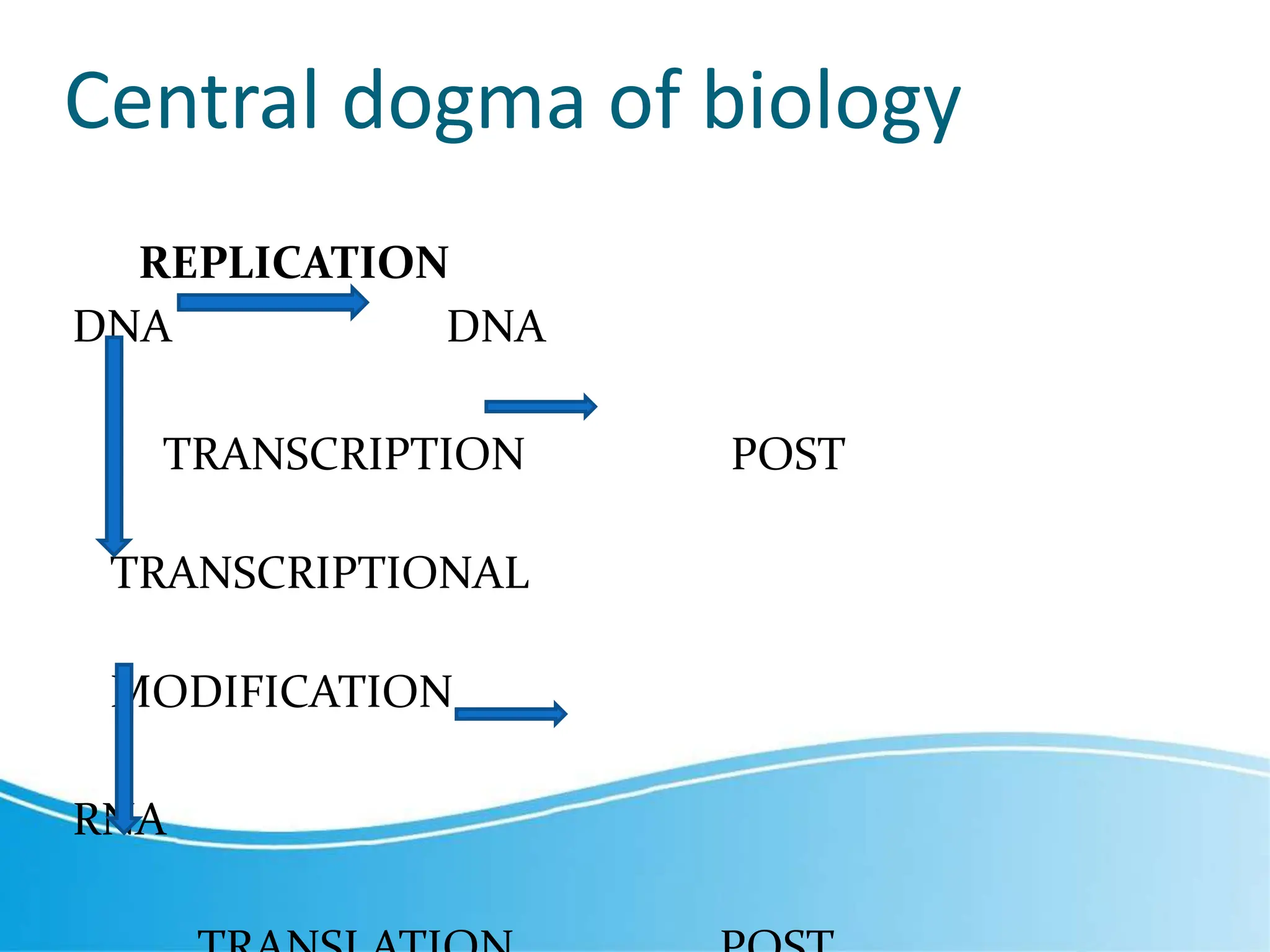 Transcripti on.pptx | Programming Languages | Computing