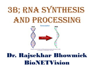 3B; RNA synthesis
and processing
Dr. Rajsekhar Bhowmick
BioNETVision
 