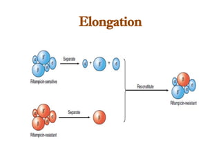Elongation
 