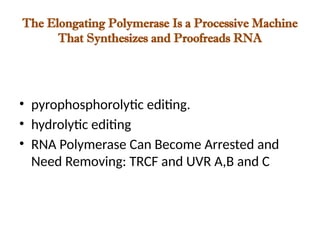 The Elongating Polymerase Is a Processive Machine
That Synthesizes and Proofreads RNA
• pyrophosphorolytic editing.
• hydrolytic editing
• RNA Polymerase Can Become Arrested and
Need Removing: TRCF and UVR A,B and C
 