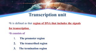 Transcription unit
•It is defined as that region of DNA that includes the signals
for transcription .
•It consists of
1. The promoter region
2. The transcribed region
3. The termination region
 