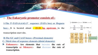 2- The Eukaryotic promoter consists of:-
1-The 5'-TATAAAAG-3’ sequence (TATA box) or Hogness
box:- It is located about - 25-30 bp upstream to the
transcription start site.
B-The GC and CAAT boxes:- (Proximal elements)
C- Third class of sequence elements (distal elements):
 Enhancers:- Are elements that increase the rate of
transcriptio or Silencers:- that decrease the rate of
transcription.
 