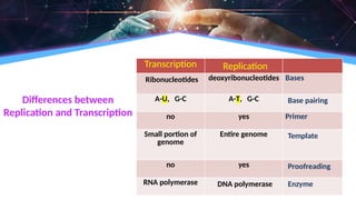 Differences between
Replication and Transcription
Transcription Replication
Ribonucleotides deoxyribonucleotides Bases
A-U, G-C A-T, G-C Base pairing
no yes Primer
Small portion of
genome
Entire genome Template
no yes Proofreading
RNA polymerase DNA polymerase Enzyme
 