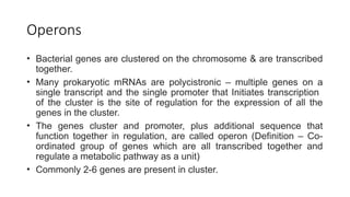 transcription in the nucleus of cells.pptx