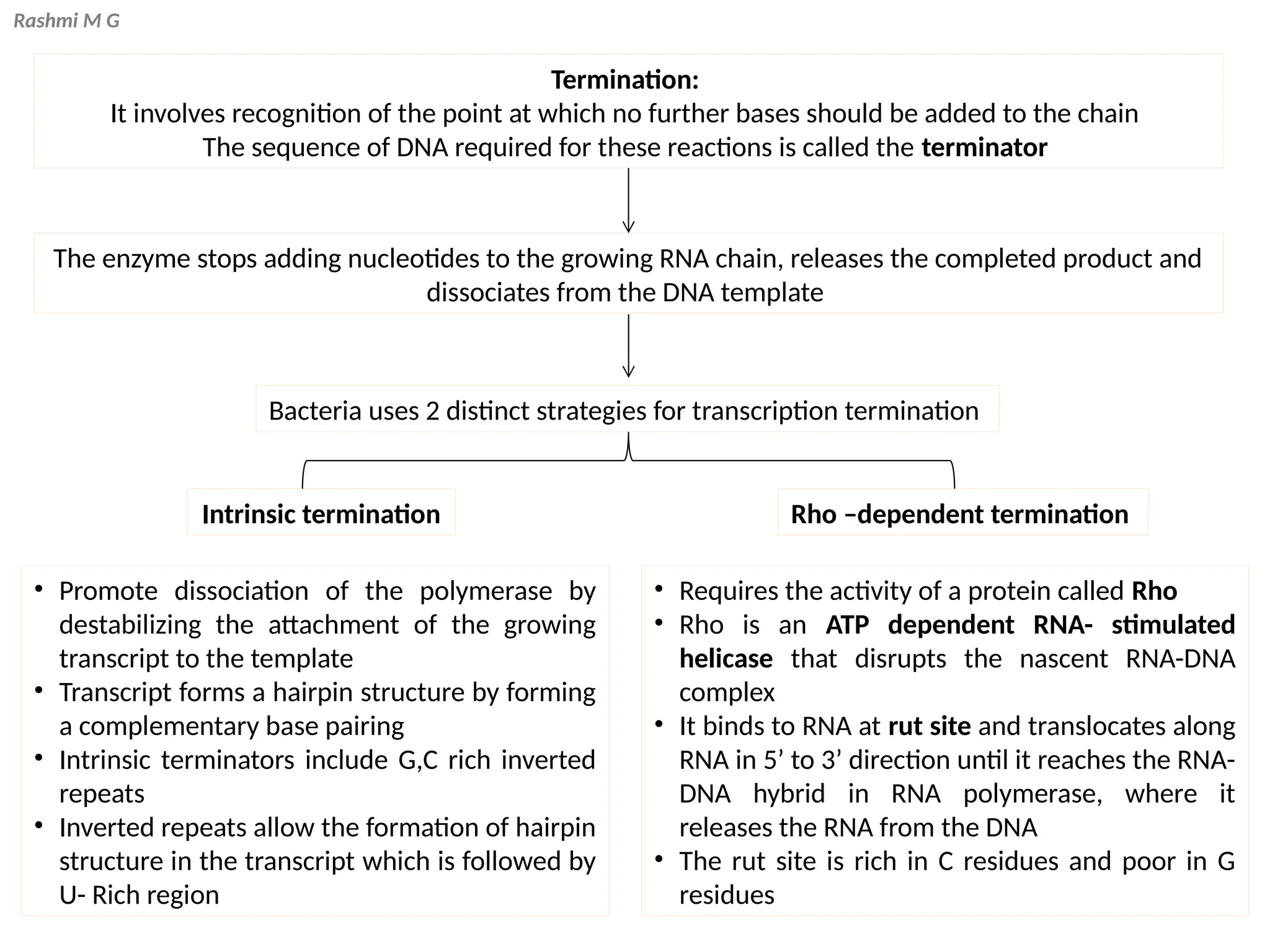 Rashmi M G
Termination:
It involves recognition of the point at which no further bases should be added to the chain
The sequence of DNA required for these reactions is called the terminator
The enzyme stops adding nucleotides to the growing RNA chain, releases the completed product and
dissociates from the DNA template
Bacteria uses 2 distinct strategies for transcription termination
Intrinsic termination Rho –dependent termination
• Promote dissociation of the polymerase by
destabilizing the attachment of the growing
transcript to the template
• Transcript forms a hairpin structure by forming
a complementary base pairing
• Intrinsic terminators include G,C rich inverted
repeats
• Inverted repeats allow the formation of hairpin
structure in the transcript which is followed by
U- Rich region
• Requires the activity of a protein called Rho
• Rho is an ATP dependent RNA- stimulated
helicase that disrupts the nascent RNA-DNA
complex
• It binds to RNA at rut site and translocates along
RNA in 5’ to 3’ direction until it reaches the RNA-
DNA hybrid in RNA polymerase, where it
releases the RNA from the DNA
• The rut site is rich in C residues and poor in G
residues
 