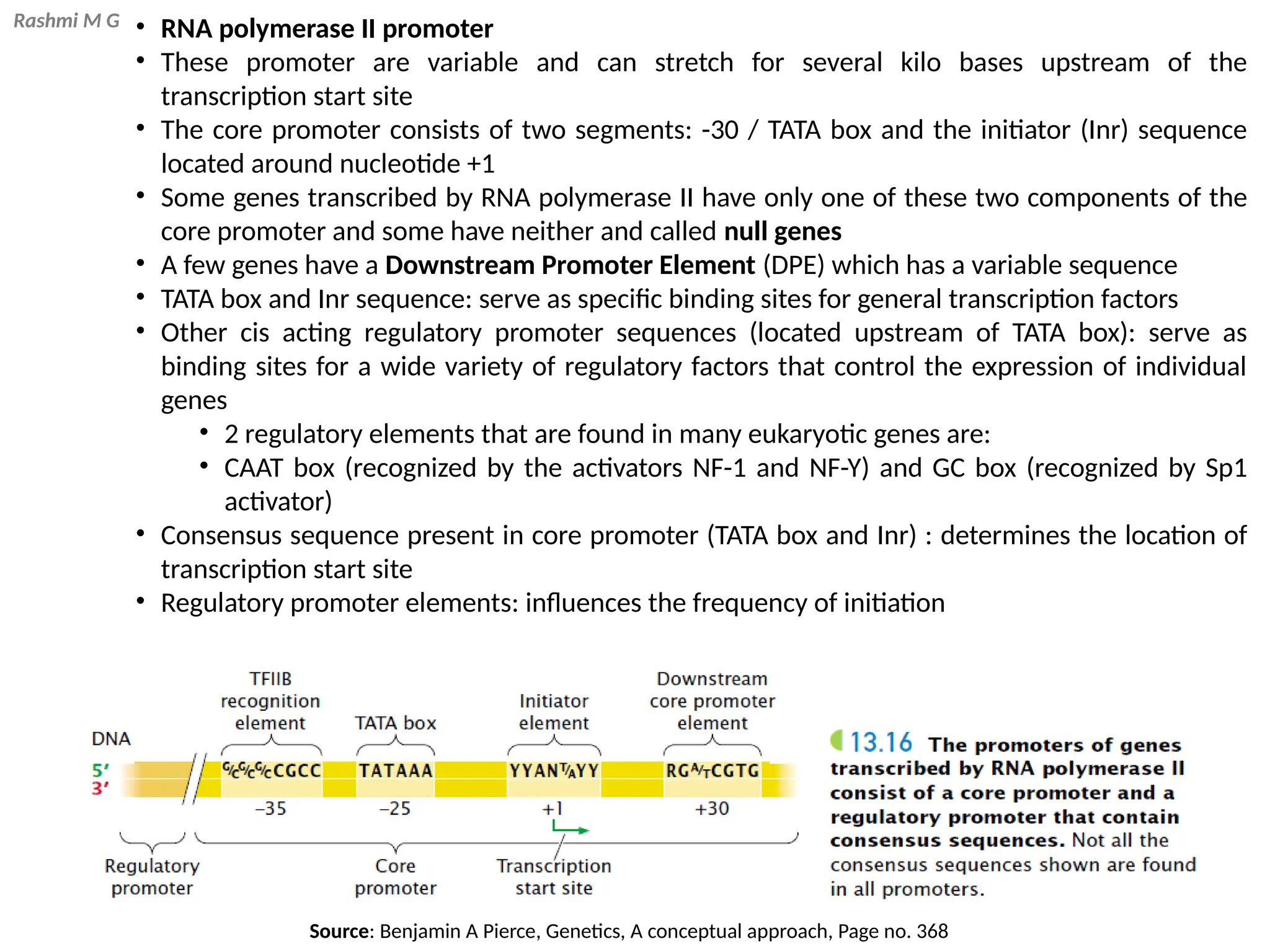 Rashmi M G • RNA polymerase II promoter
• These promoter are variable and can stretch for several kilo bases upstream of the
transcription start site
• The core promoter consists of two segments: -30 / TATA box and the initiator (Inr) sequence
located around nucleotide +1
• Some genes transcribed by RNA polymerase II have only one of these two components of the
core promoter and some have neither and called null genes
• A few genes have a Downstream Promoter Element (DPE) which has a variable sequence
• TATA box and Inr sequence: serve as specific binding sites for general transcription factors
• Other cis acting regulatory promoter sequences (located upstream of TATA box): serve as
binding sites for a wide variety of regulatory factors that control the expression of individual
genes
• 2 regulatory elements that are found in many eukaryotic genes are:
• CAAT box (recognized by the activators NF-1 and NF-Y) and GC box (recognized by Sp1
activator)
• Consensus sequence present in core promoter (TATA box and Inr) : determines the location of
transcription start site
• Regulatory promoter elements: influences the frequency of initiation
Source: Benjamin A Pierce, Genetics, A conceptual approach, Page no. 368
 