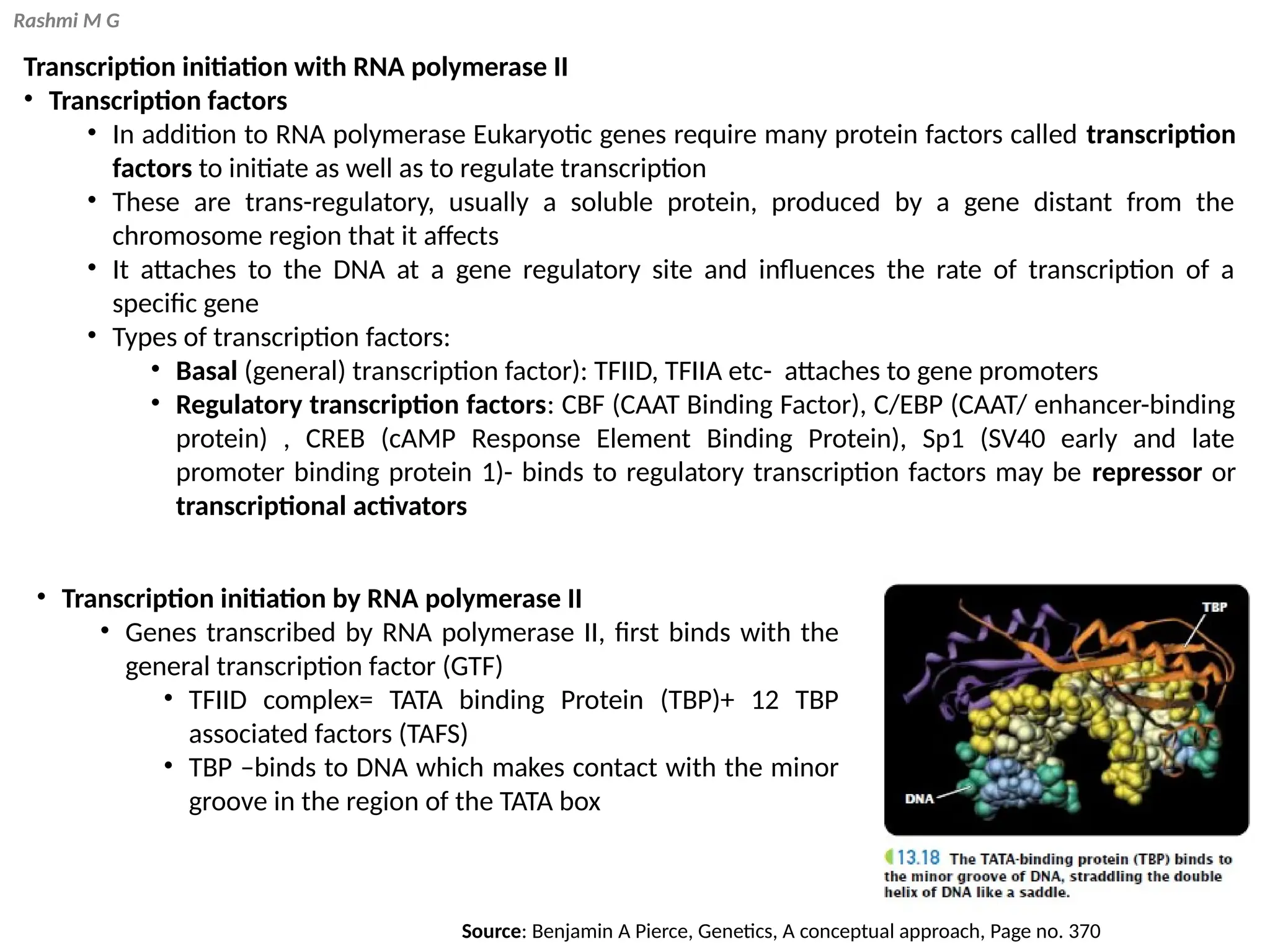 Rashmi M G
• Transcription initiation by RNA polymerase II
• Genes transcribed by RNA polymerase II, first binds with the
general transcription factor (GTF)
• TFIID complex= TATA binding Protein (TBP)+ 12 TBP
associated factors (TAFS)
• TBP –binds to DNA which makes contact with the minor
groove in the region of the TATA box
Transcription initiation with RNA polymerase II
• Transcription factors
• In addition to RNA polymerase Eukaryotic genes require many protein factors called transcription
factors to initiate as well as to regulate transcription
• These are trans-regulatory, usually a soluble protein, produced by a gene distant from the
chromosome region that it affects
• It attaches to the DNA at a gene regulatory site and influences the rate of transcription of a
specific gene
• Types of transcription factors:
• Basal (general) transcription factor): TFIID, TFIIA etc- attaches to gene promoters
• Regulatory transcription factors: CBF (CAAT Binding Factor), C/EBP (CAAT/ enhancer-binding
protein) , CREB (cAMP Response Element Binding Protein), Sp1 (SV40 early and late
promoter binding protein 1)- binds to regulatory transcription factors may be repressor or
transcriptional activators
Source: Benjamin A Pierce, Genetics, A conceptual approach, Page no. 370
 