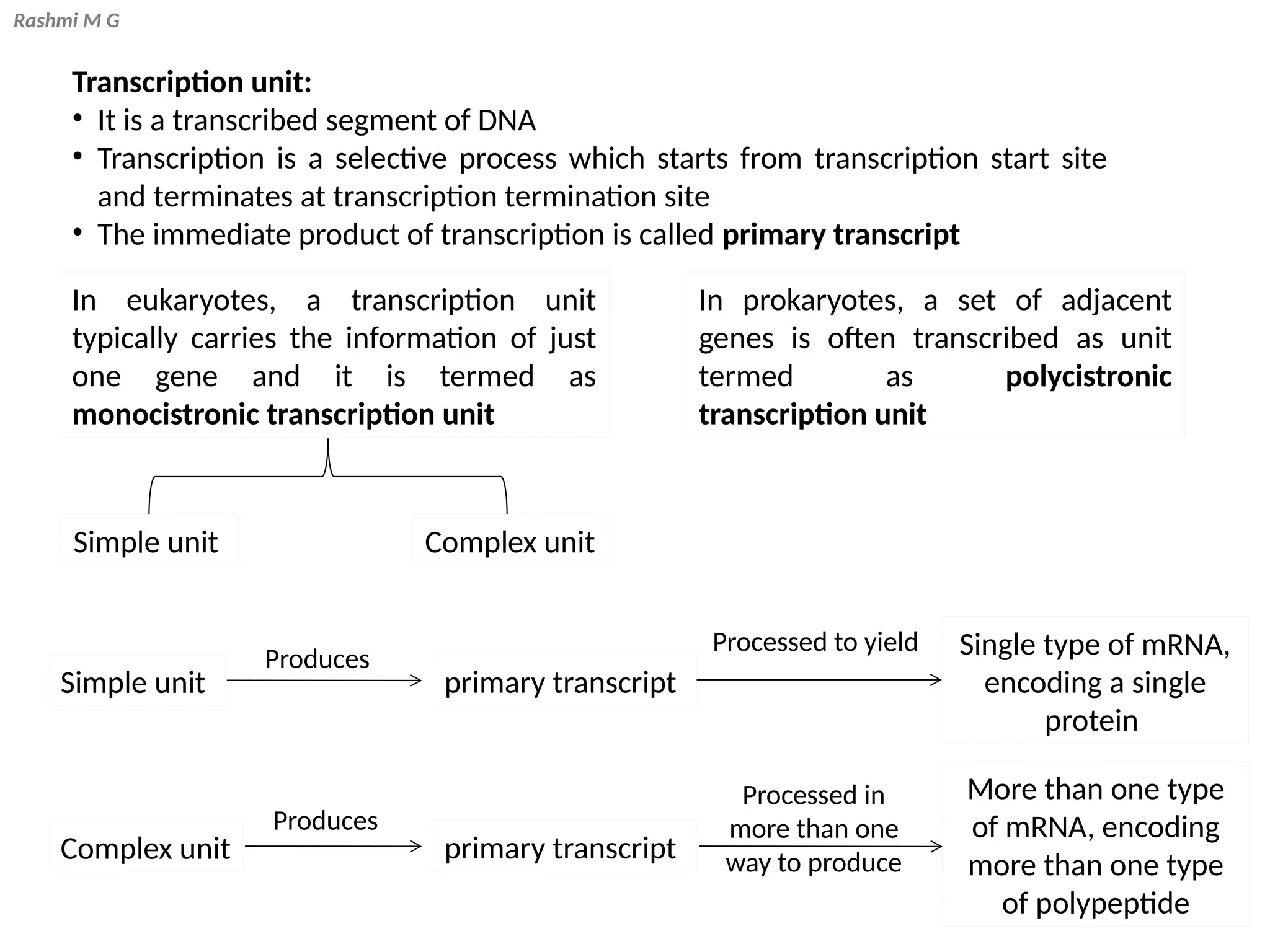 Rashmi M G
Transcription unit:
• It is a transcribed segment of DNA
• Transcription is a selective process which starts from transcription start site
and terminates at transcription termination site
• The immediate product of transcription is called primary transcript
In eukaryotes, a transcription unit
typically carries the information of just
one gene and it is termed as
monocistronic transcription unit
In prokaryotes, a set of adjacent
genes is often transcribed as unit
termed as polycistronic
transcription unit
Simple unit Complex unit
Simple unit
Complex unit
Produces
primary transcript
primary transcript
Produces
Processed to yield Single type of mRNA,
encoding a single
protein
Processed in
more than one
way to produce
More than one type
of mRNA, encoding
more than one type
of polypeptide
 