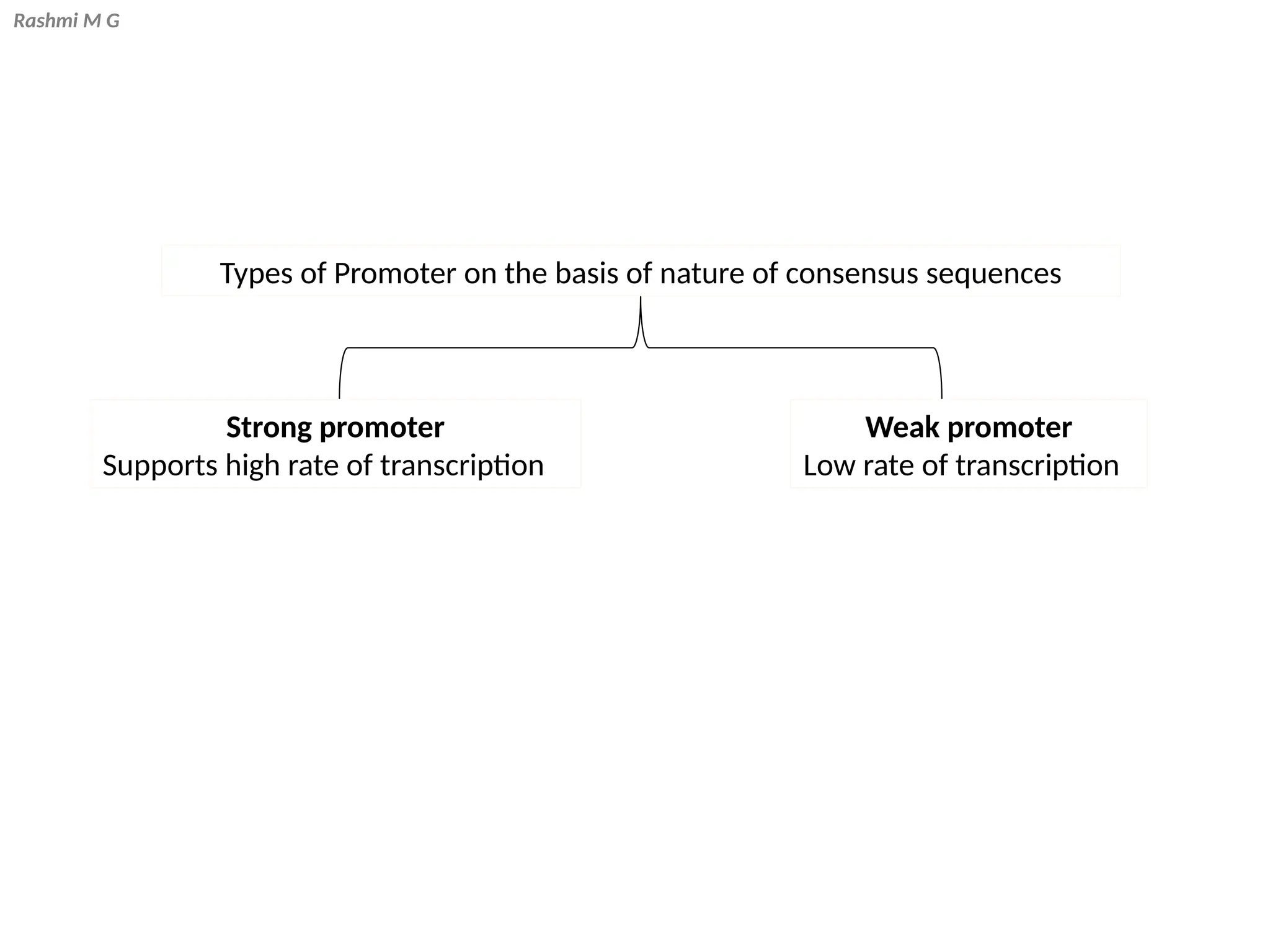 Rashmi M G
Types of Promoter on the basis of nature of consensus sequences
Strong promoter
Supports high rate of transcription
Weak promoter
Low rate of transcription
 