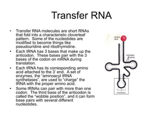 Translation Base Images Transcription-and-Translation.ppt