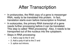 Transcription and Translation process .. | PPT