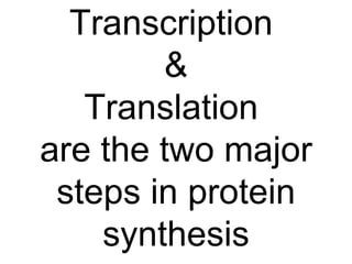Transcription  & Translation  are the two major steps in protein synthesis 