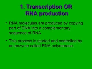 Comprehensive Overview of RNA and Protein Synthesis Processes in Cells ...