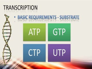DNA Transcription | PPTX