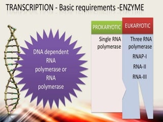 DNA Transcription | PPTX