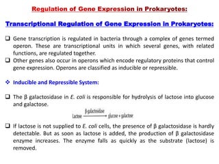 Transcriptional and Post-transcriptional Regulation of Gene Expression.pptx