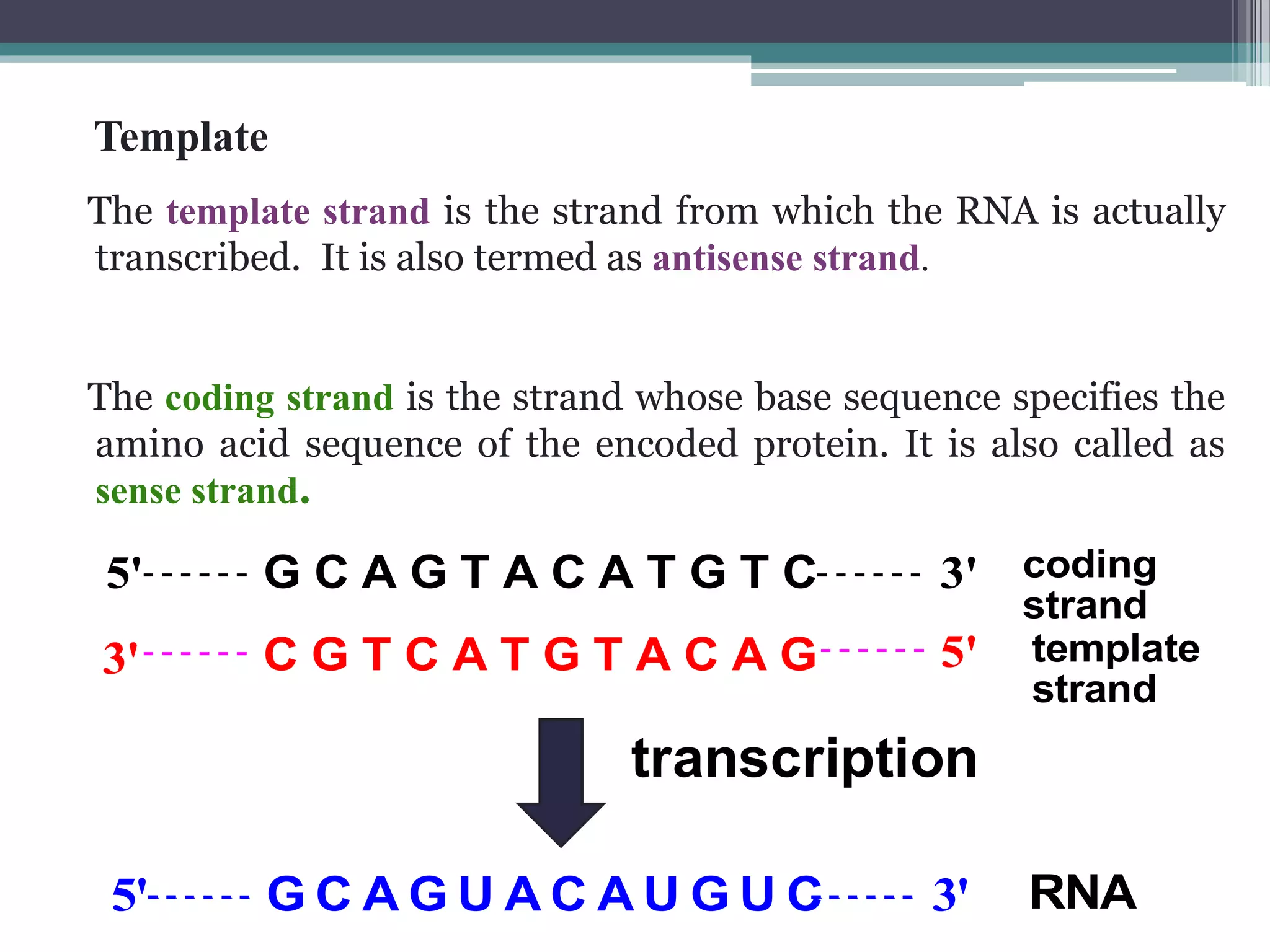 Transcriptional and post transcriptional regulation of gene expression ...