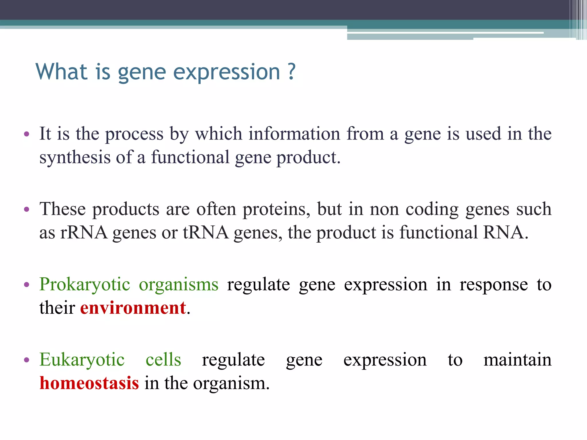 Transcriptional and post transcriptional regulation of gene expression ...