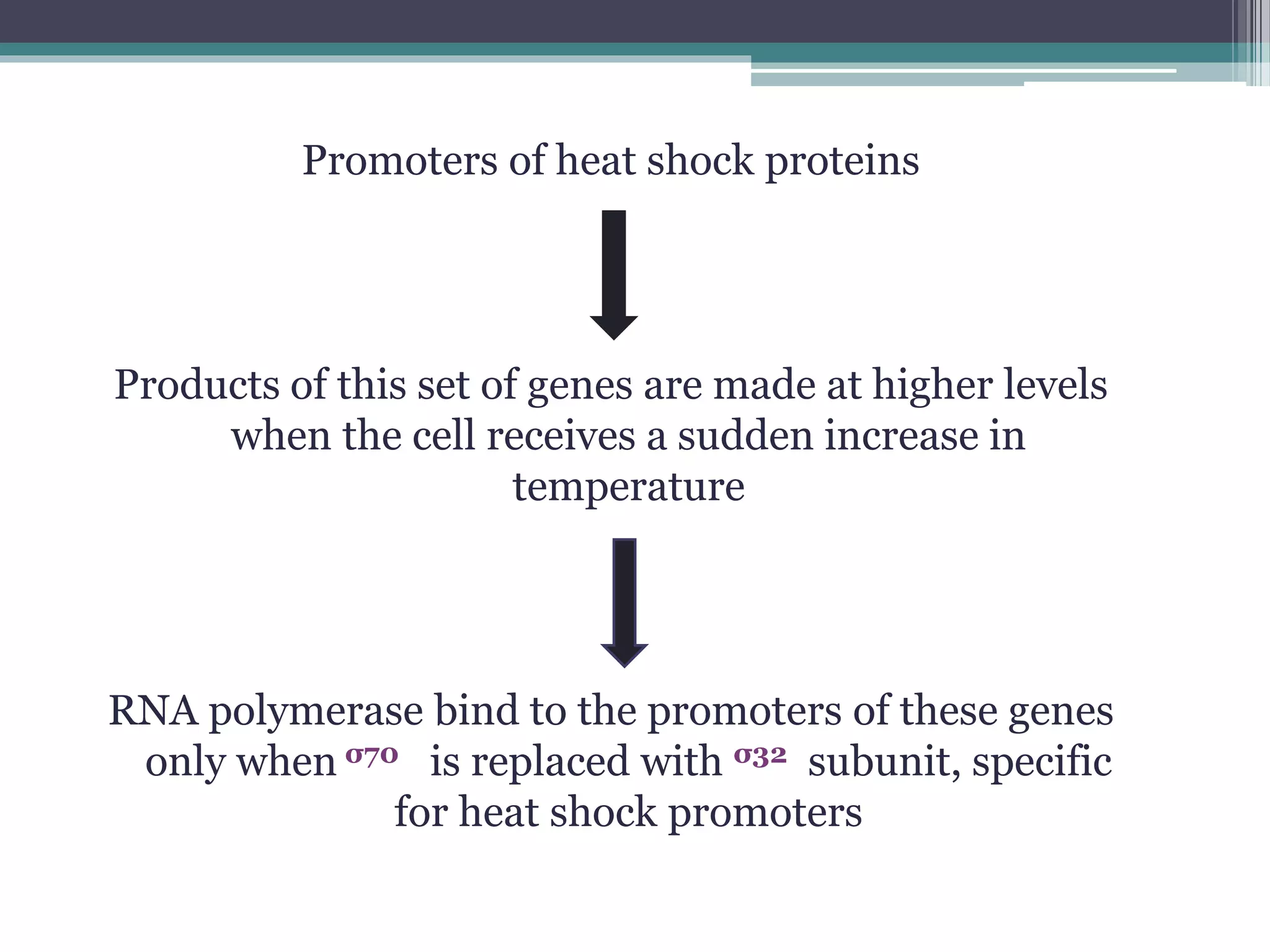 Transcriptional and post transcriptional regulation of gene expression ...