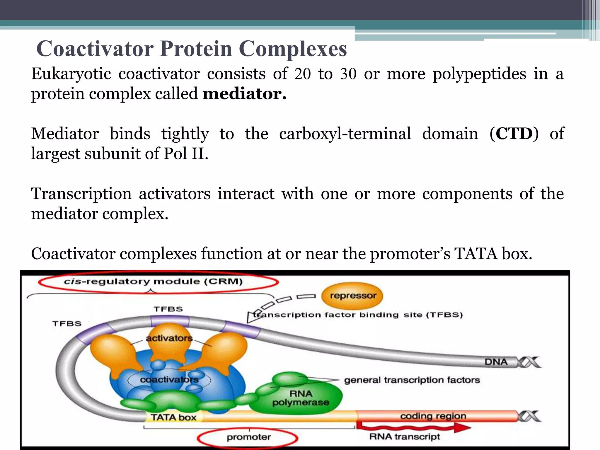 Transcriptional and post transcriptional regulation of gene expression ...