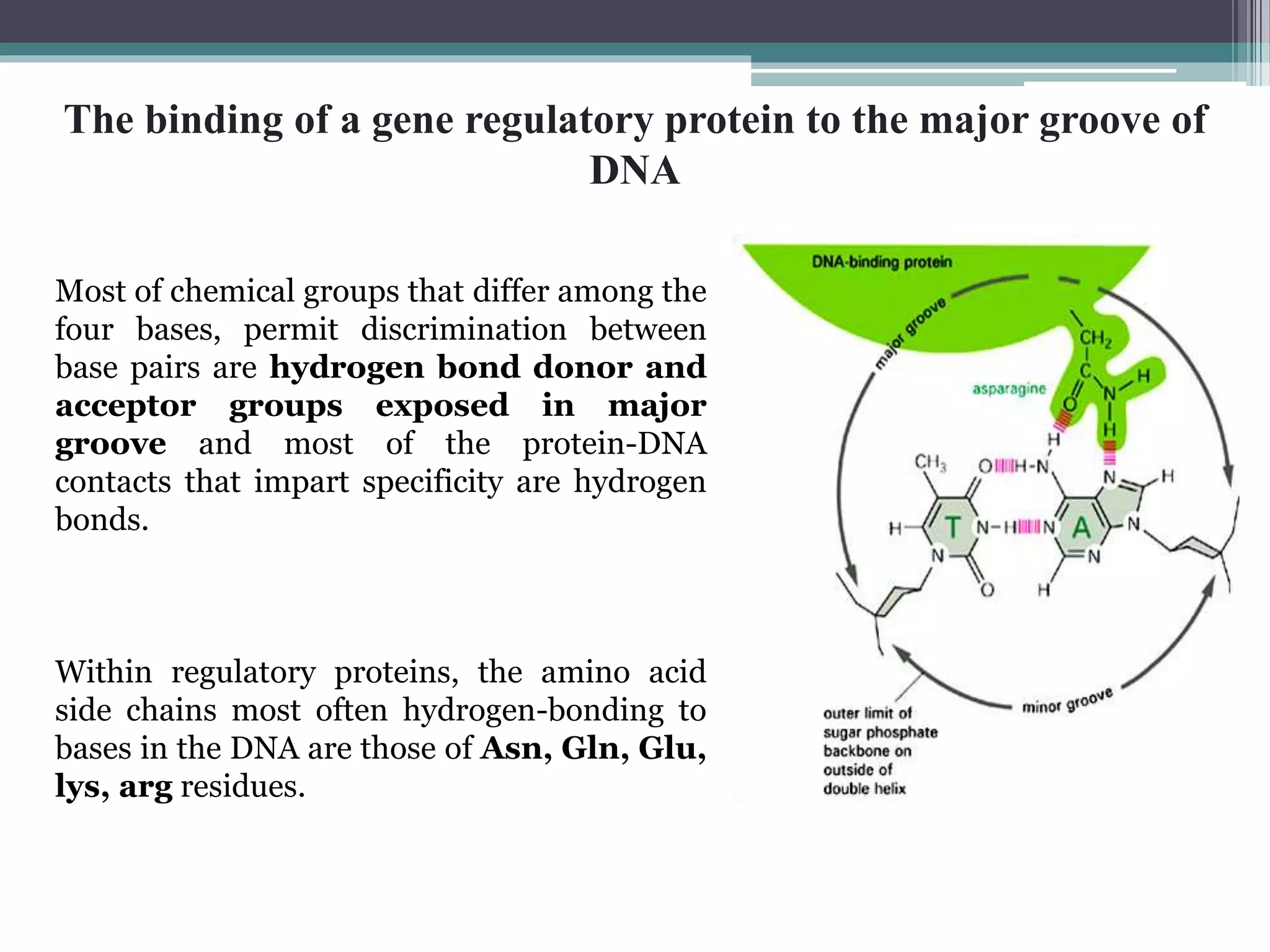 Transcriptional and post transcriptional regulation of gene expression ...