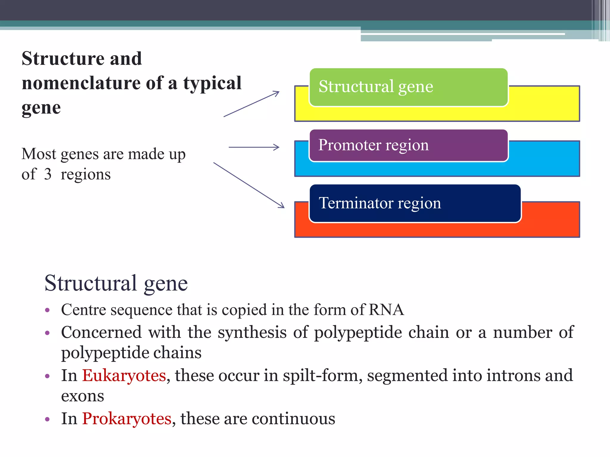 Transcriptional and post transcriptional regulation of gene expression ...
