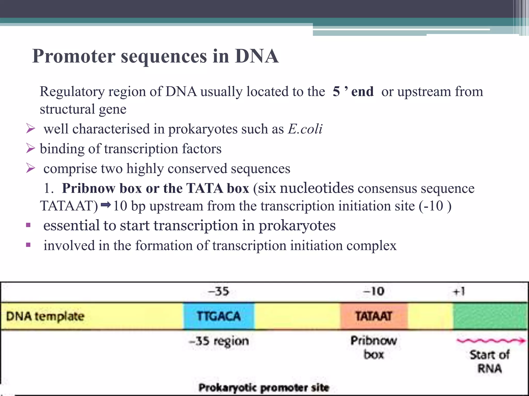 Transcriptional and post transcriptional regulation of gene expression ...