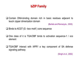 Transcriptional factors in stress tolerance | PPTX