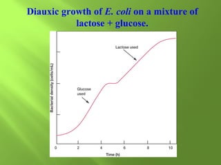 Diauxic growth of E. coli on a mixture of
lactose + glucose.

 