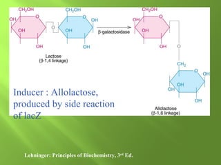 Inducer : Allolactose,
produced by side reaction
of lacZ

Lehninger: Principles of Biochemistry, 3rd Ed.

 