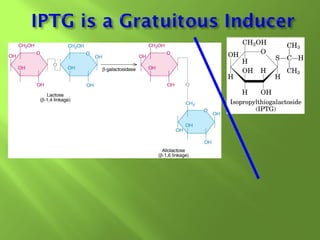 

Synthetic molecule

 