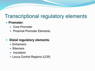 Transcriptional regulation [autosaved] | PPTX