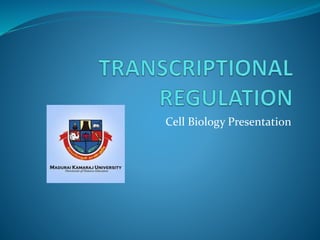 Cell Biology Presentation
 