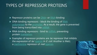 Transcriptional repressors ppt Repressor proteins involved in ...