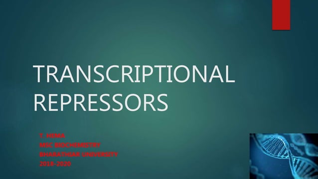 Transcriptional Repressors Explained | PPT