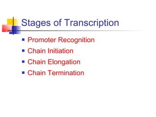 Stages of Transcription
 Promoter Recognition
 Chain Initiation
 Chain Elongation
 Chain Termination
 