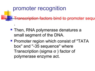 promoter recognition
 Transcription factors bind to promoter seque
.
 Then, RNA polymerase denatures a
small segment of the DNA.
 Promoter region which consist of "TATA
box" and "-35 sequence" where
Transcription (sigma σ ) factor of
polymerase enzyme act.
 