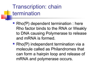 Transcription: chain
termination
 Rho(Ƥ) dependent termination : here
Rho factor binds to the RNA or Weakly
to DNA causing Polymerase to release
and mRNA is formed.
 Rho(Ƥ) independent termination via a
molecule called as Philandromes that
can form a hairpin loop and release of
mRNA and polymerase occurs.
 