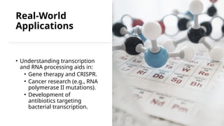 Transcription and RNA Processing Powerpoint | PPTX