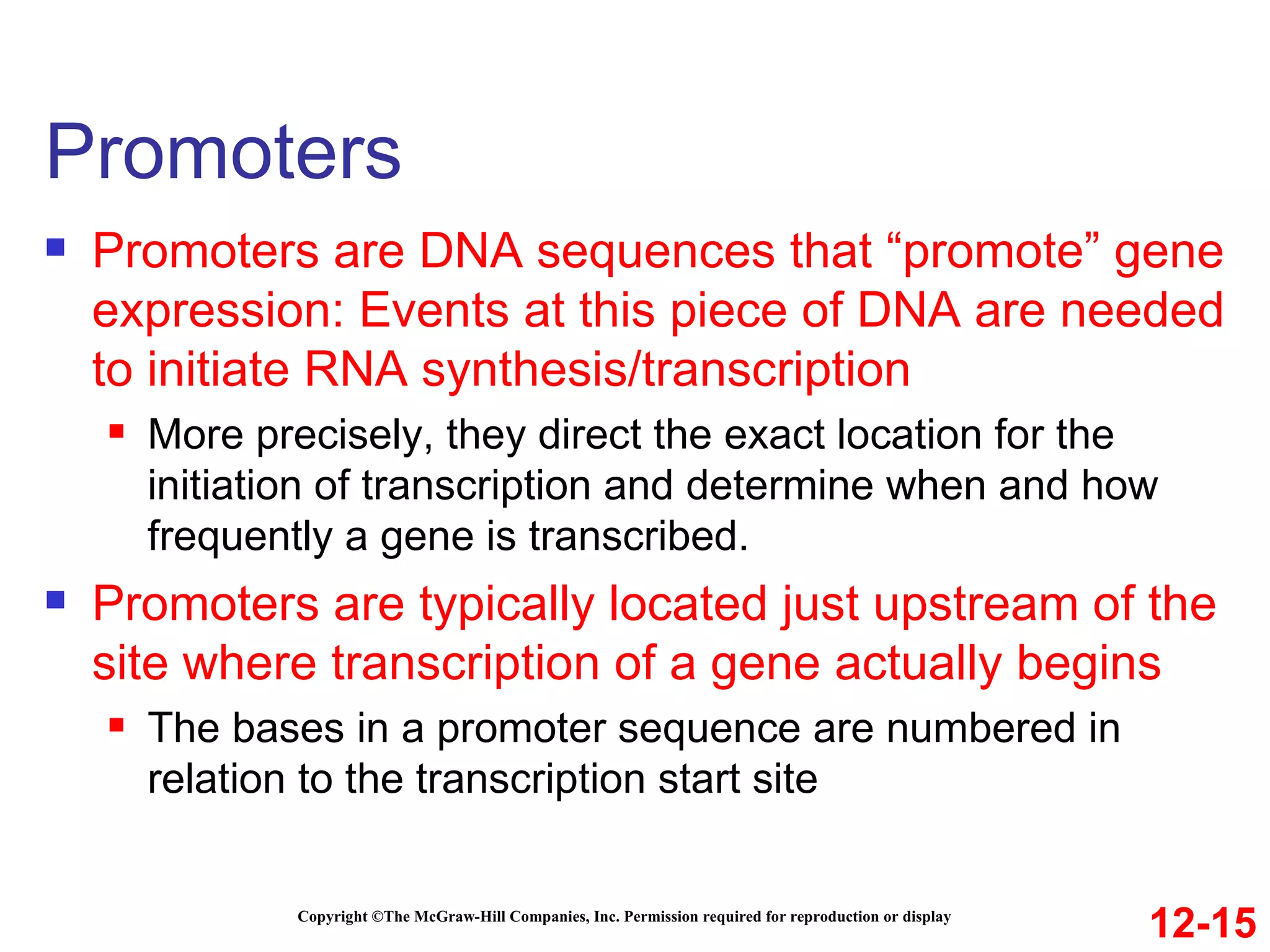 Promoters Copyright ©The McGraw-Hill Companies, Inc. Permission required for reproduction or display Promoters   are DNA sequences   that “promote” gene expression: Events at this piece of DNA are needed to initiate RNA synthesis/transcription More precisely, they direct the exact location for the initiation of transcription and determine when and how frequently a gene is transcribed. Promoters are typically located just upstream of the site where transcription of a gene actually begins The bases in a promoter sequence are numbered in relation to the transcription start site 12-15 