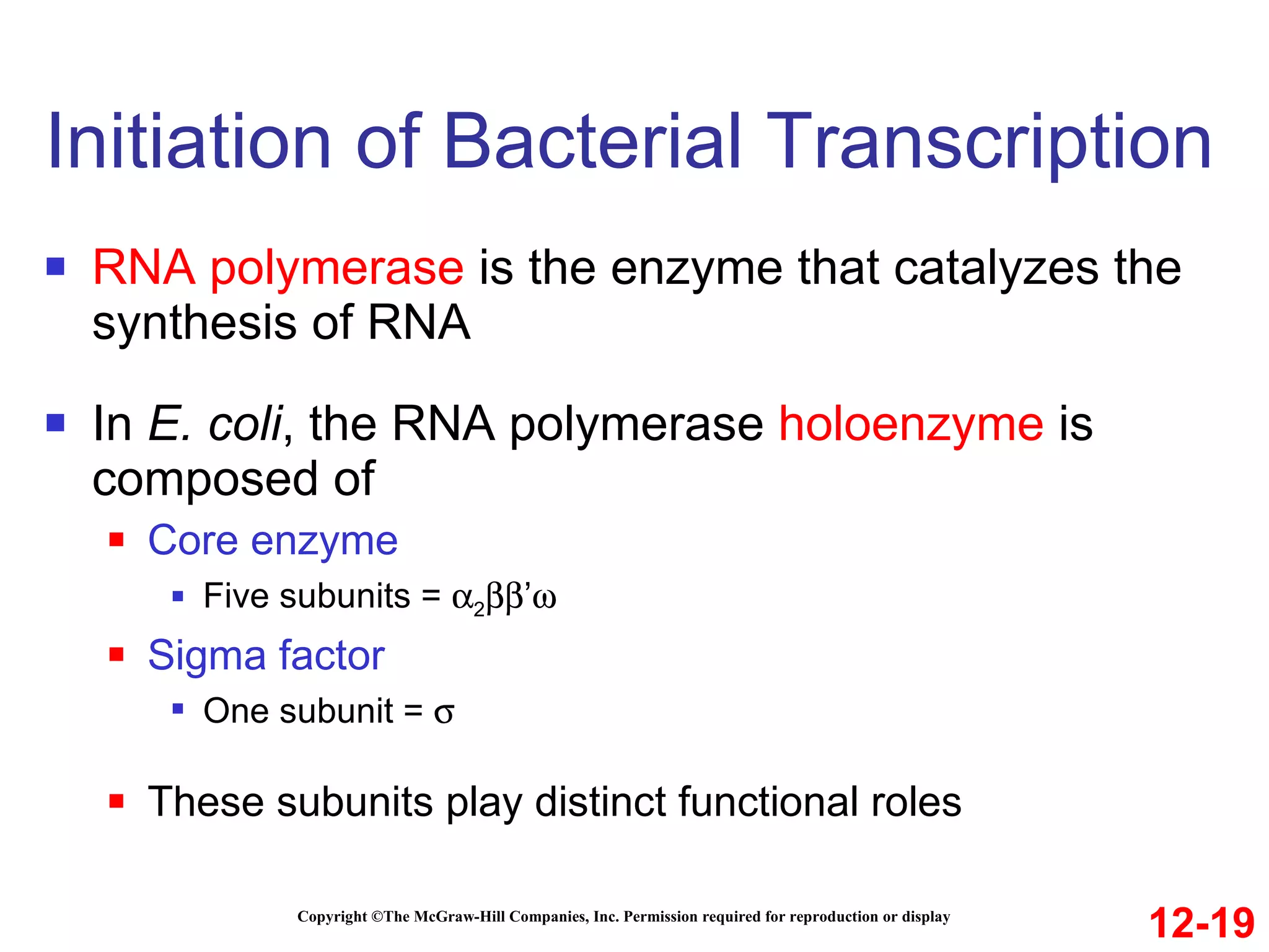 Initiation of Bacterial Transcription Copyright ©The McGraw-Hill Companies, Inc. Permission required for reproduction or display RNA polymerase  is the enzyme that catalyzes the synthesis of RNA In  E. coli , the RNA polymerase  holoenzyme  is composed of Core enzyme Five subunits =   2  ’  Sigma factor One subunit =   These subunits play distinct functional roles 12-19 