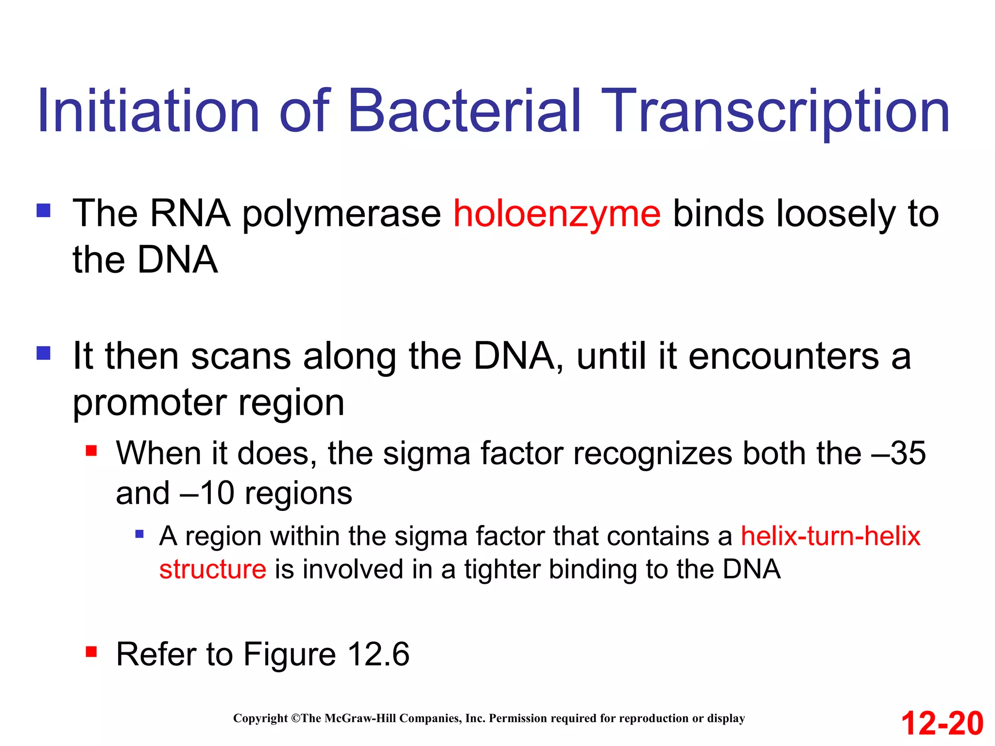 Initiation of Bacterial Transcription Copyright ©The McGraw-Hill Companies, Inc. Permission required for reproduction or display The RNA polymerase  holoenzyme  binds loosely to the DNA It then scans along the DNA, until it encounters a promoter region When it does, the sigma factor recognizes both the –35 and –10 regions A region within the sigma factor that contains a  helix-turn-helix structure  is involved in a tighter binding to the DNA Refer to Figure 12.6 12-20 