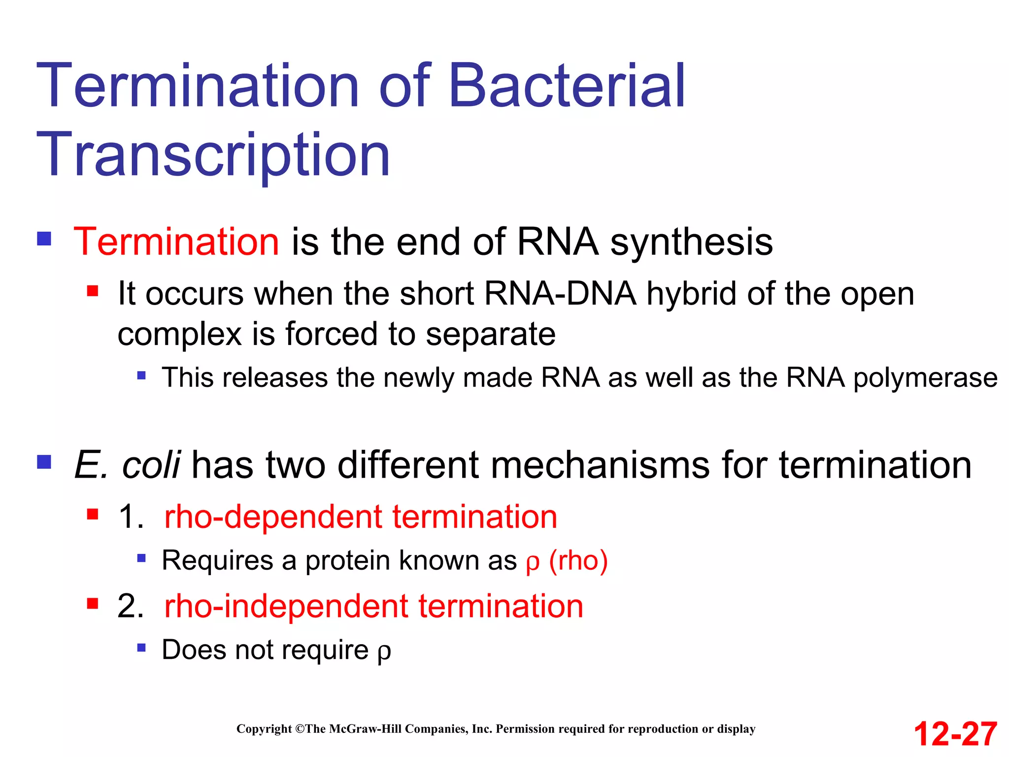 Termination of Bacterial Transcription Copyright ©The McGraw-Hill Companies, Inc. Permission required for reproduction or display Termination  is the end of RNA synthesis  It occurs when the short RNA-DNA hybrid of the open complex is forced to separate This releases the newly made RNA as well as the RNA polymerase E. coli  has two different mechanisms for termination 1.  rho-dependent termination Requires a protein known as    (rho) 2.   rho-independent termination Does not require   12-27 