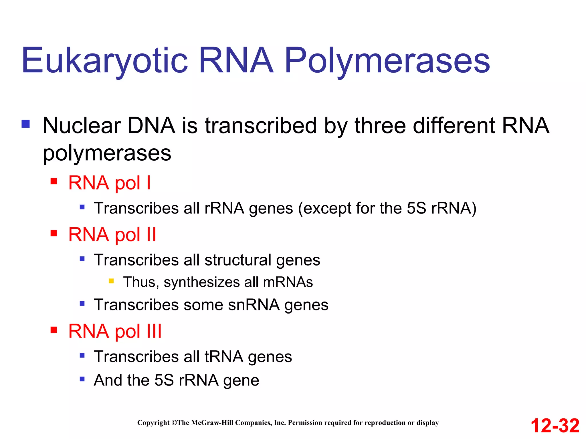 Eukaryotic RNA Polymerases Copyright ©The McGraw-Hill Companies, Inc. Permission required for reproduction or display Nuclear DNA is transcribed by three different RNA polymerases RNA pol I Transcribes all rRNA genes (except for the 5S rRNA) RNA pol II Transcribes all structural genes Thus, synthesizes all mRNAs  Transcribes some snRNA genes RNA pol III Transcribes all tRNA genes And the 5S rRNA gene 12-32 