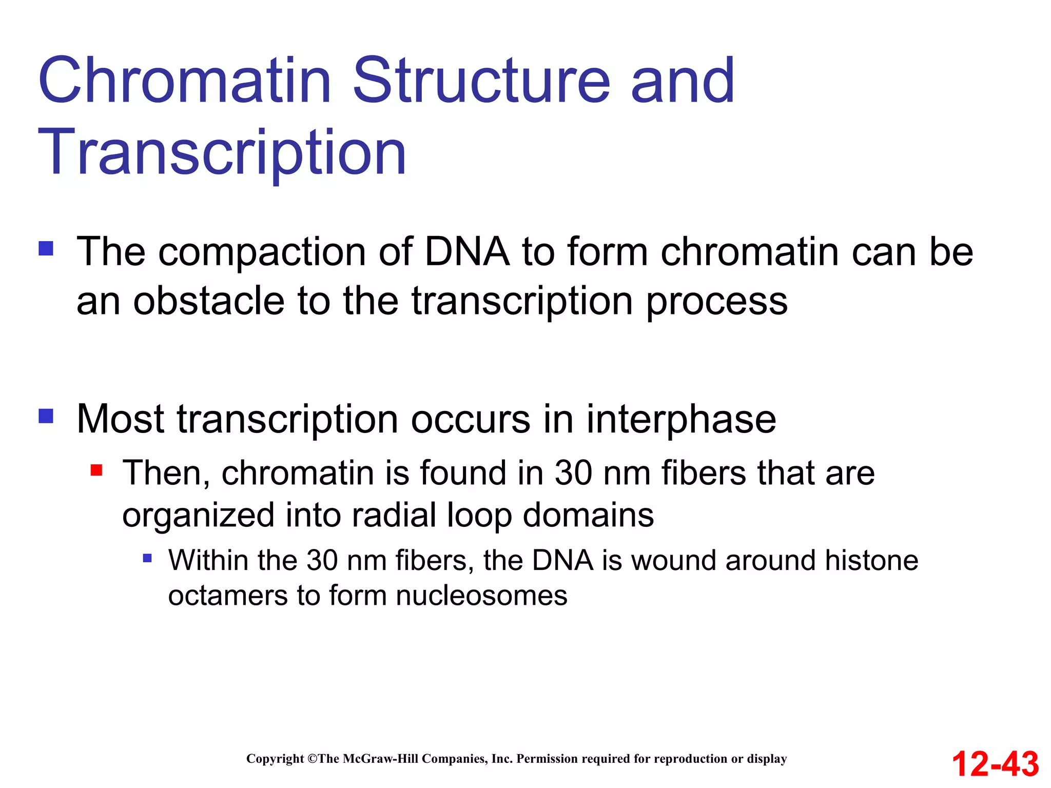 Chromatin Structure and Transcription Copyright ©The McGraw-Hill Companies, Inc. Permission required for reproduction or display The compaction of DNA to form chromatin can be an obstacle to the transcription process Most transcription occurs in interphase Then, chromatin is found in 30 nm fibers that are organized into radial loop domains Within the 30 nm fibers, the DNA is wound around histone octamers to form nucleosomes 12-43 