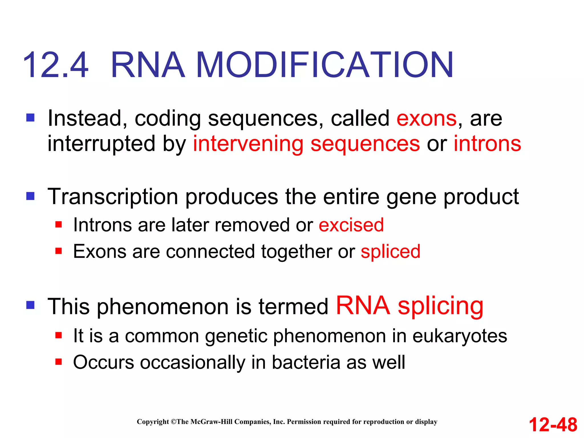 Instead, coding sequences, called  exons , are interrupted by  intervening sequences  or  introns Transcription produces the entire gene product Introns are later removed or  excised Exons are connected together or  spliced This phenomenon is termed   RNA splicing It is a common genetic phenomenon in eukaryotes Occurs occasionally in bacteria as well 12.4  RNA MODIFICATION Copyright ©The McGraw-Hill Companies, Inc. Permission required for reproduction or display 12-48 