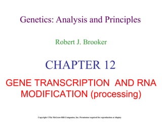 Genetics: Analysis and Principles Robert J. Brooker Copyright ©The McGraw-Hill Companies, Inc. Permission required for reproduction or display CHAPTER 12 GENE TRANSCRIPTION  AND RNA MODIFICATION (processing) 