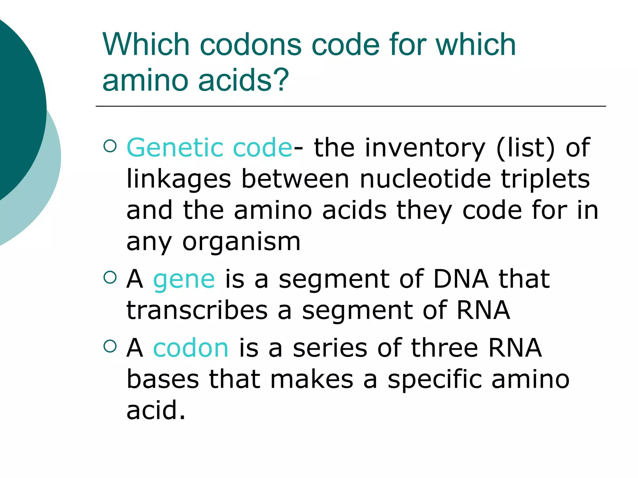 Which codons code for which  amino acids?  Genetic code - the inventory (list) of linkages between nucleotide triplets and the amino acids they code for in any organism A  gene  is a segment of DNA that transcribes a segment of RNA A  codon  is a series of three RNA bases that makes a specific amino acid. 