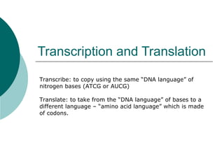 Transcription and Translation Transcribe: to copy using the same “DNA language” of nitrogen bases (ATCG or AUCG) Translate: to take from the “DNA language” of bases to a different language – “amino acid language” which is made of codons. 